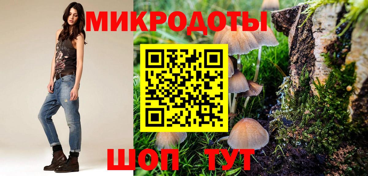 Костомукша  Галлюциногенные грибы прущие грибы  Вход с VPN 